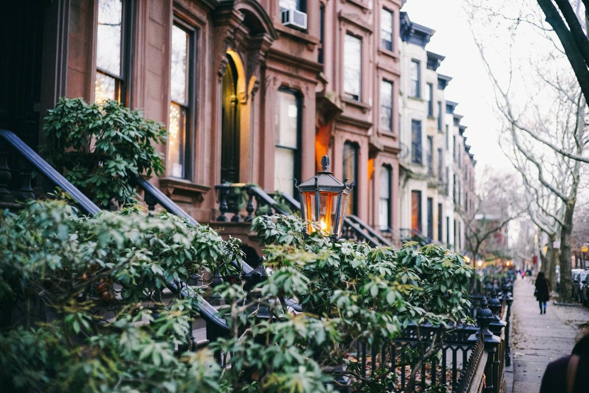 A row of brownstones on a leafy street