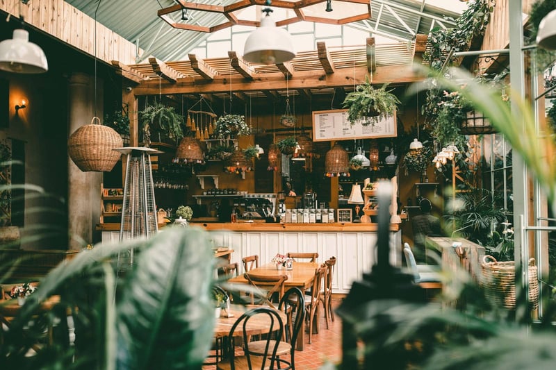A leafy restaurant interior in daylight