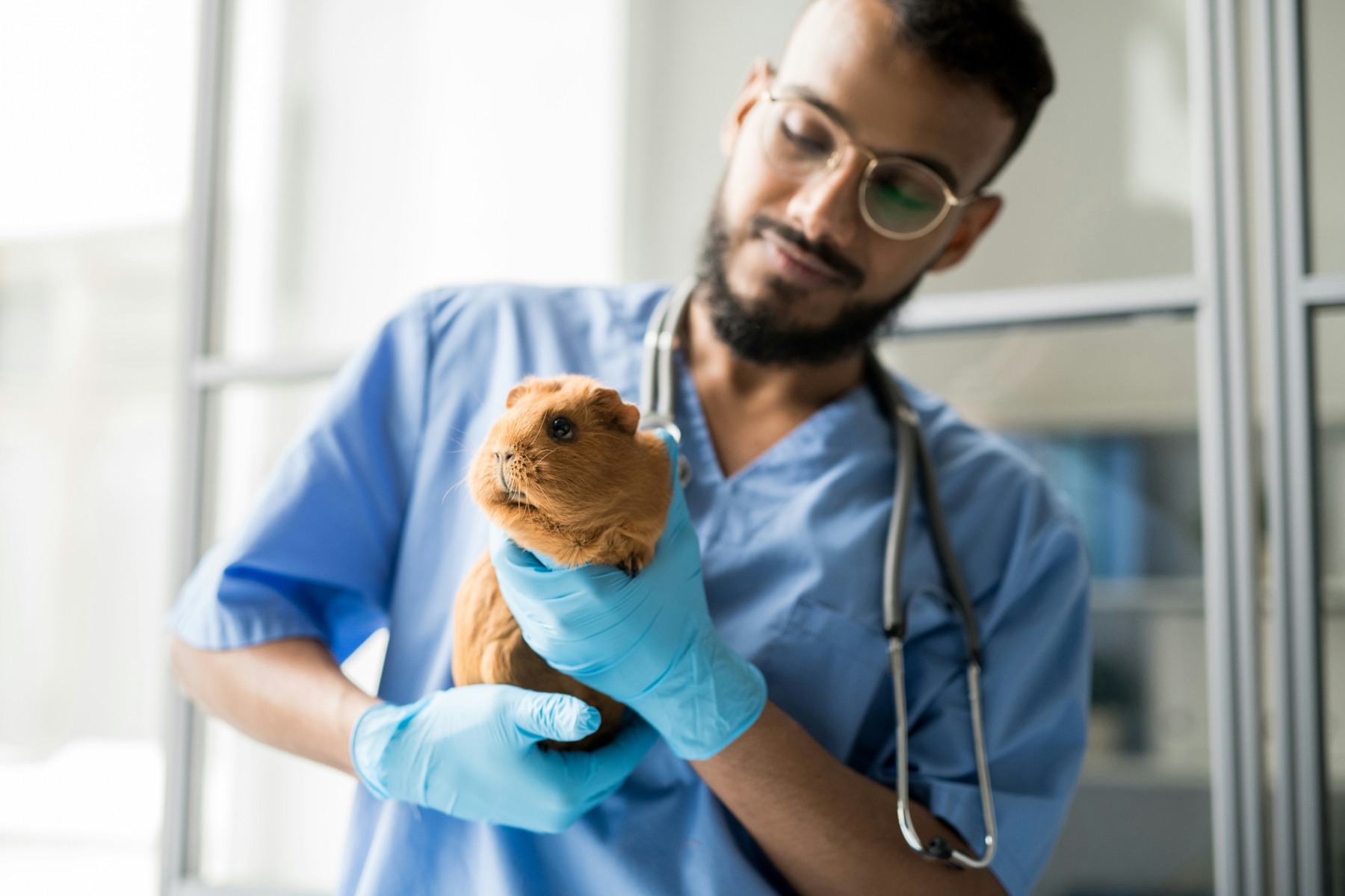 In-house diagnostics lab with imaging equipment