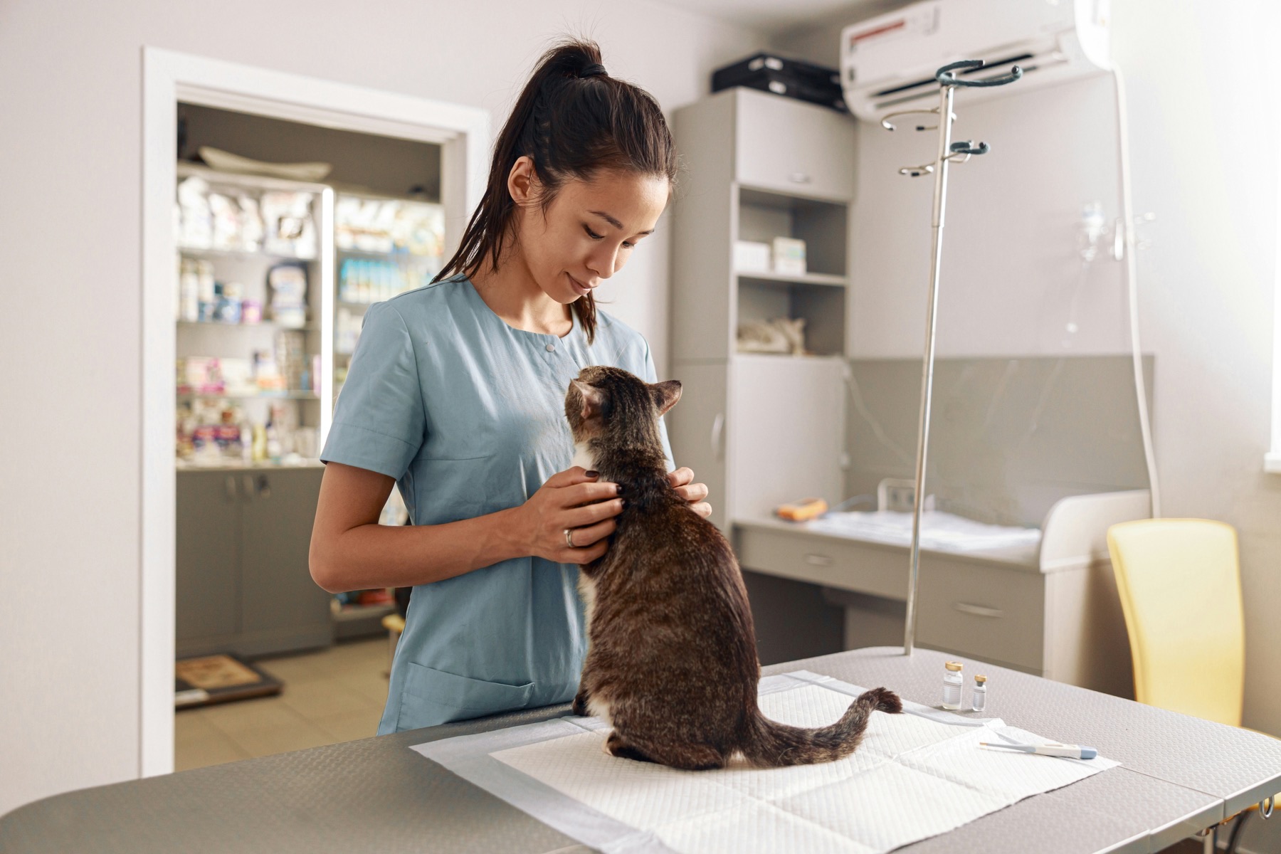 Sofia Alvarez, lead veterinary technician, in the treatment area