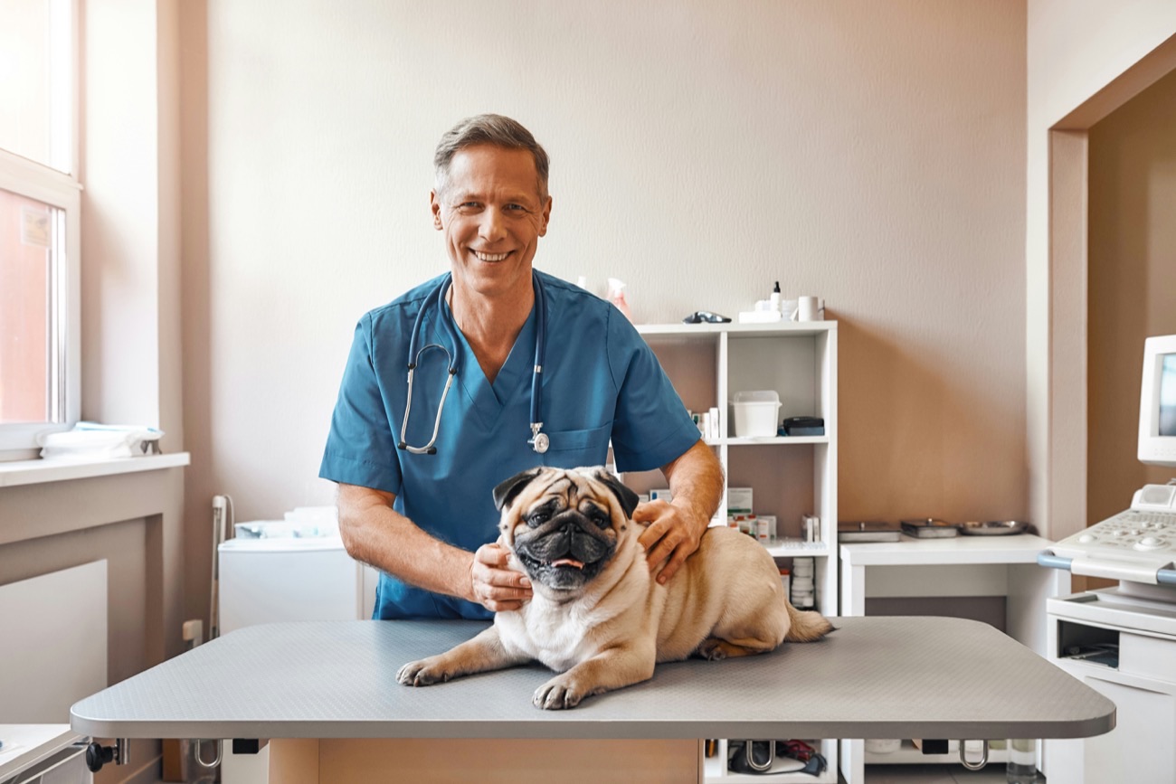 Dr. Marcus Reed, DVM, Associate Veterinarian
